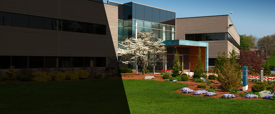Bancroft Landscapers