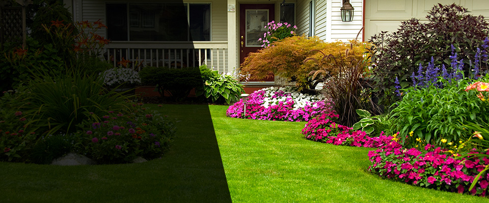 Bancroft Landscapers