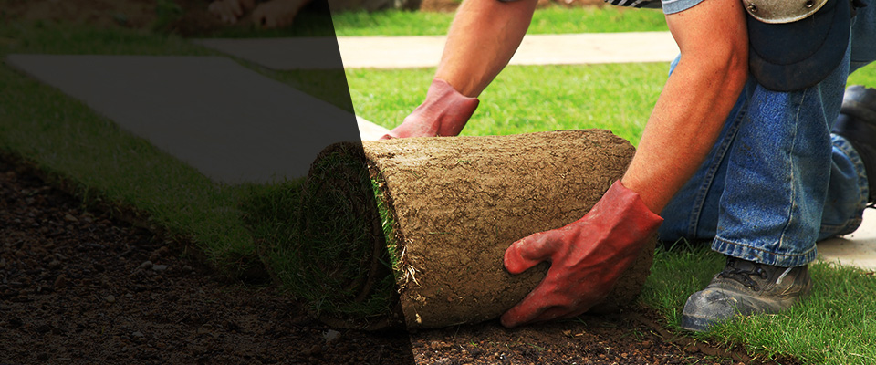 Bancroft Landscapers
